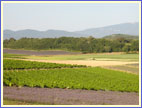 Cliquer sur la photo pour l'agrandir